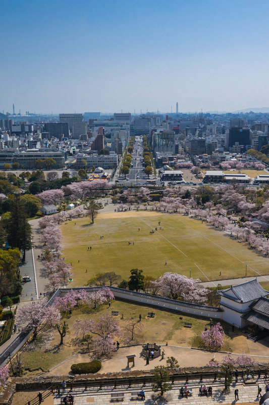 姬路城 春景 別角度